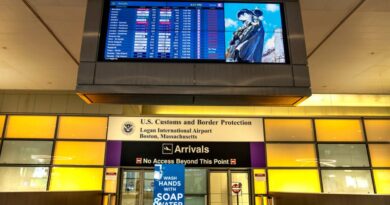 major-shift-in-traveler-mix-as-activity-picks-up-at-logan-airport-–-metrowest-daily-news