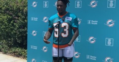 the-exciting-new-dolphins-player-–-dolphinmaven