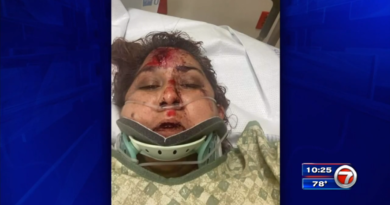mother-hospitalized-after-hit-and-run-driver-struck-her-while-stranded-without-gas-in-sw-miami-dade-–-wsvn-7news-|-miami-news,-weather,-sports-|-fort-lauderdale