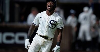 anderson-hr-for-chisox,-walkoff-end-in-field-of-dreams-game-–-miami-herald