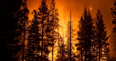‘we’re-still-not-out-of-the-woods’:-improved-weather-conditions-could-aid-crews-fighting-to-save-lake-tahoe-from-caldor-fire-–-usa-today
