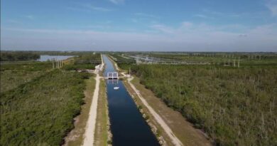 miami-dade-faces-big-decision-on-industrial-complex-in-south-dade-farmland-–-wplg-local-10