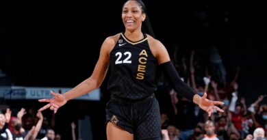 2021-wnba-playoffs:-how-to-watch,-format,-standings-–-nbc-6-south-florida