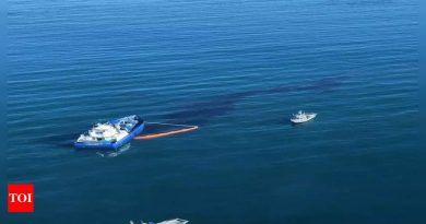 usa-news-live-updates:-divers-find-underwater-southern-california-oil-pipeline-responsible-for-major-spill-was-split-open,-apparently-dragged-–-times-of-india