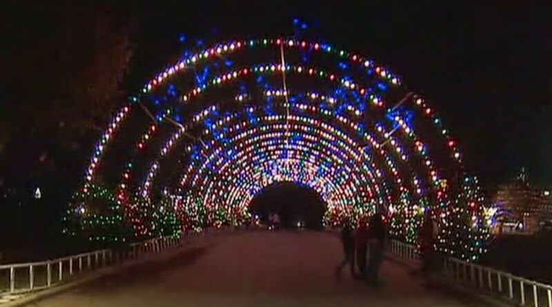 austin-trail-of-lights-in-usa-today-2021-readers’-choice-contest-–-fox-7-austin