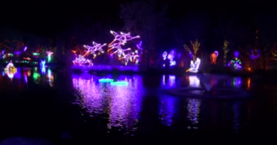 vote-for-river-of-lights-as-usa-today’s-best-botanical-garden-holiday-lights-–-krqe-news-13