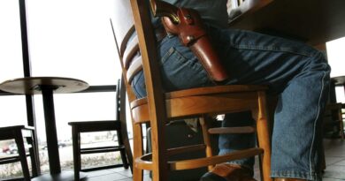 is-florida-moving-toward-constitutional-carry-of-guns?-–-south-florida-sun-sentinel-–-south-florida-sun-sentinel