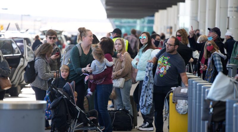 check-your-flight-status:-airlines-have-already-canceled-more-than-2,100-sunday-flights-–-usa-today