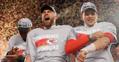 nfl-playoffs-photos:-conference-championship-round’s-best-pictures-–-usa-today