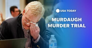 Watch: Alex Murdaugh murder trial continues